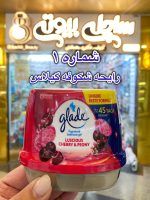 ژل خوشبوکننده هوا گلید آلمان - کد409 - Image 2