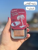 خوشبوکننده آمریکایی رایحه های ادکلنی کمی تند - کد 811 - Image 2