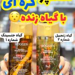 شامپو گیاهی راگن جنسینگ و زنجبیل - کد 953