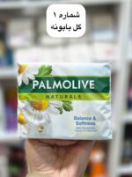 صابون شستشو گیاهی ۴عددی - کد 1069 - Image 2